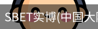 SBET实博